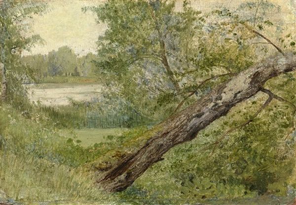 Tree By The Lake Oil Painting by Isaak Levitan