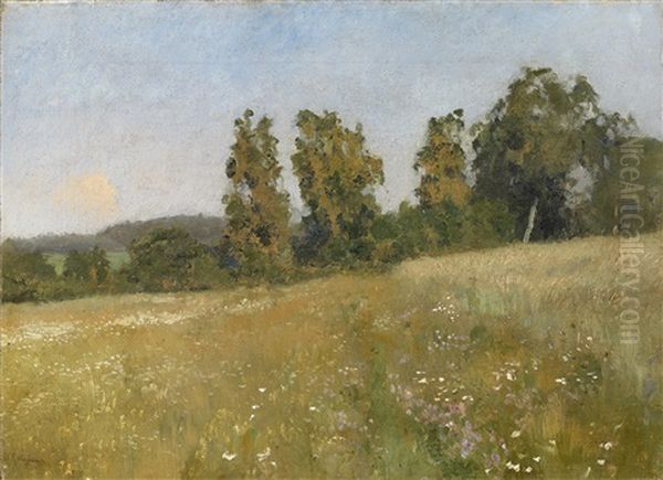 Forest Meadow Oil Painting by Isaak Levitan