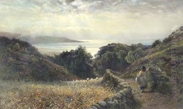 Coastal View Near Barmouth, North Wales Oil Painting by Charles James Lewis