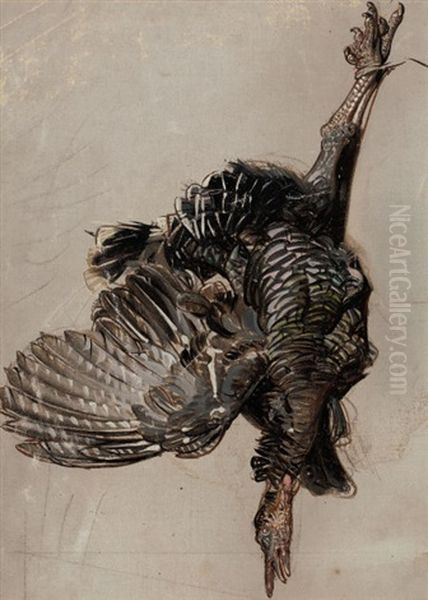 Turkey (study) Oil Painting by Joseph Christian Leyendecker