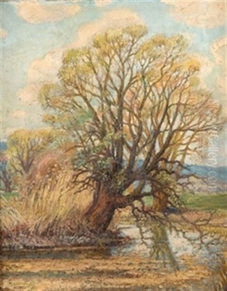 Arboles Junto Al Rio Oil Painting by Carlos Lezcano