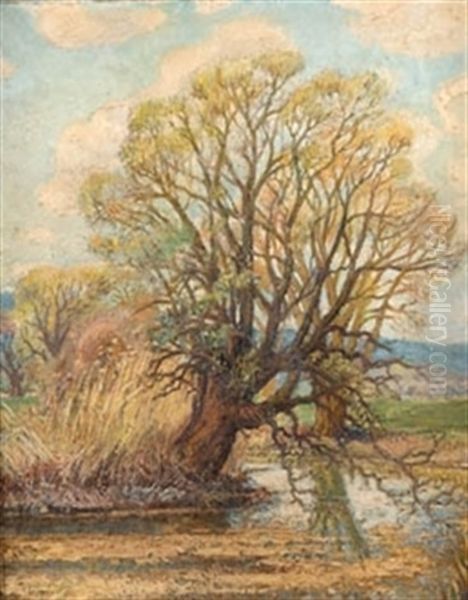 Arboles Junto Al Rio Oil Painting by Carlos Lezcano