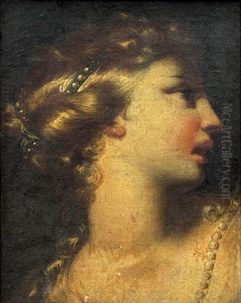 Portrait Of A Lady Oil Painting by Pietro (Libertino) Liberi