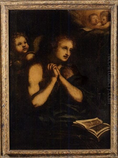 Maddalena Penitente Oil Painting by Pietro (Libertino) Liberi