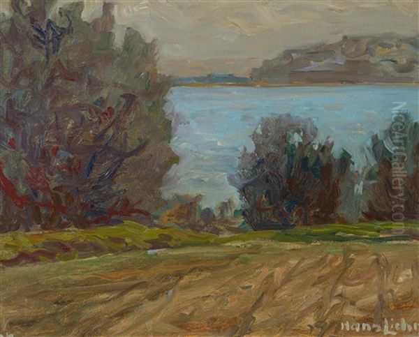 Abendstimmung Am See Oil Painting by Hans Licht