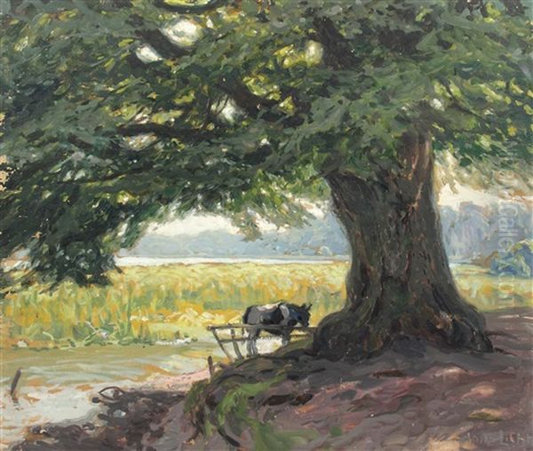 Buche Am Klostersee Oil Painting by Hans Licht