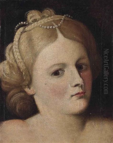 Portrait Of A Woman, Bust-length, With Pearls In Her Hair Oil Painting by Bernardino Licinio