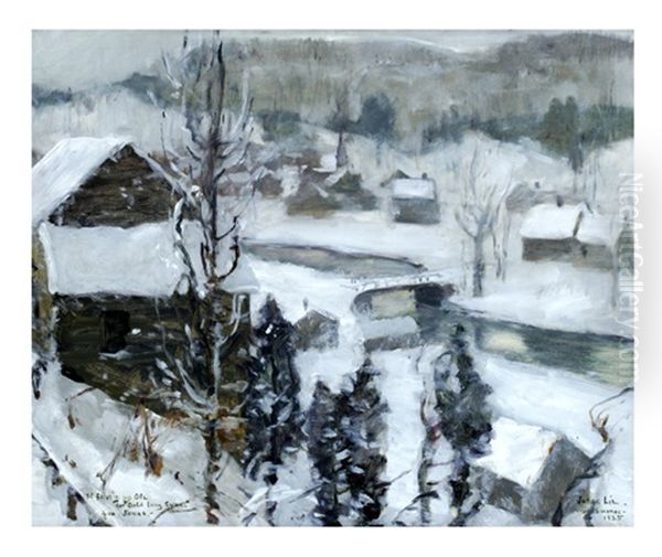 Snowing by Jonas Lie