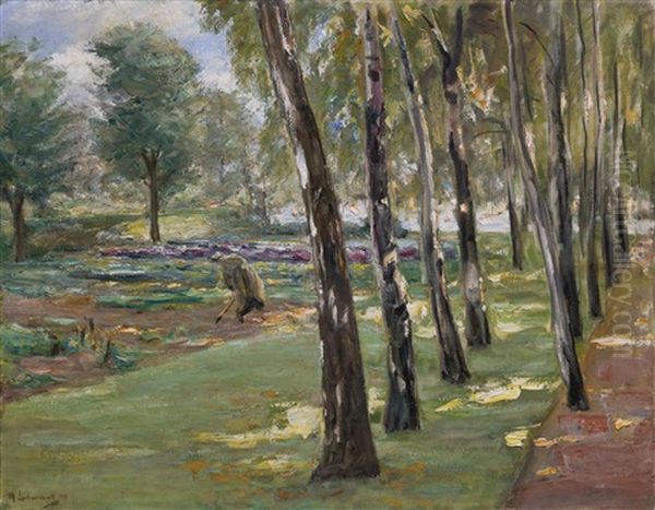 Die Birkenallee Im Wannseegarten, Blick Auf Das Kohlfeld (an Avenue Of Birch Trees In The Wannsee Garden, A View Of A Cabbage Field) Oil Painting by Max Liebermann