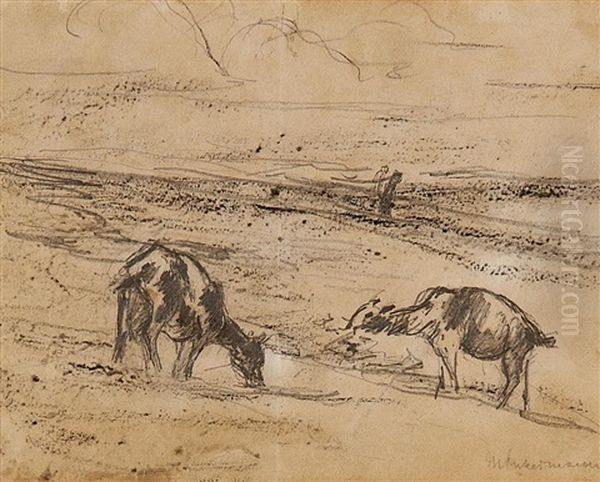 Grasende Ziegen (study For Etching) Oil Painting by Max Liebermann