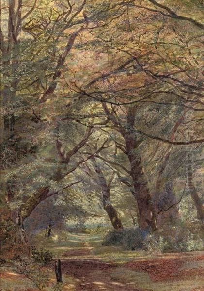 A Path Through A Wooded Landscape Oil Painting by Newton Benett