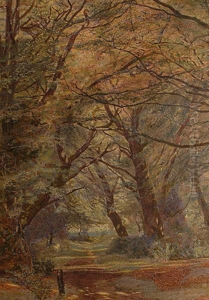 The Path Through The Woods Oil Painting by Newton Benett