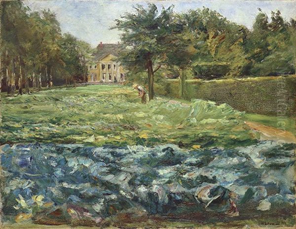 Kohlfeld Im Wannseegarten Nach Westen by Max Liebermann