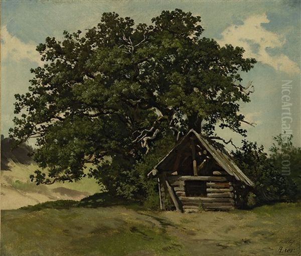 Holzhutte Unter Einem Baum Oil Painting by Adolf Heinrich Lier