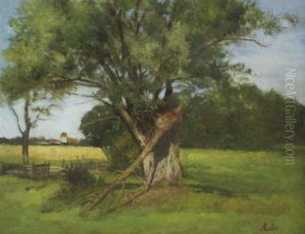 Sommerlandschaft Mit Weide Oil Painting by Adolf Heinrich Lier