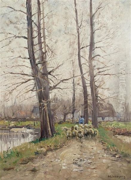 Schafe In Der Allee Oil Painting by Helmuth Liesegang