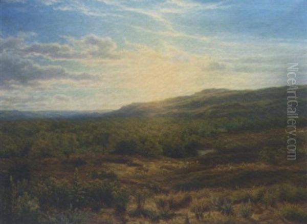 Sunset Over Heathland Oil Painting by Cornelis Lieste