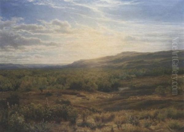 Sunset Over Heathland Oil Painting by Cornelis Lieste