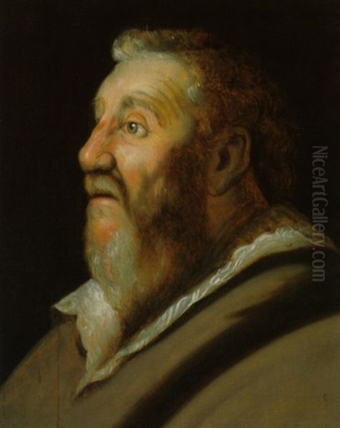 Kopf Eines Bartigen Mannes Oil Painting by Jan Lievens