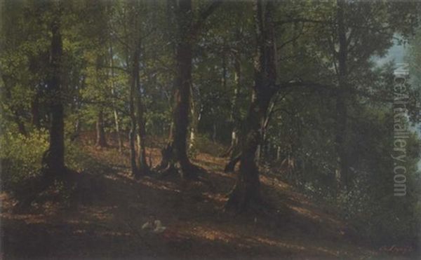 Sommerlicher Laubwald Oil Painting by Charles Ligny