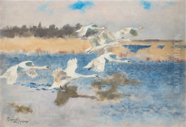 Swans Oil Painting by Bruno Liljefors