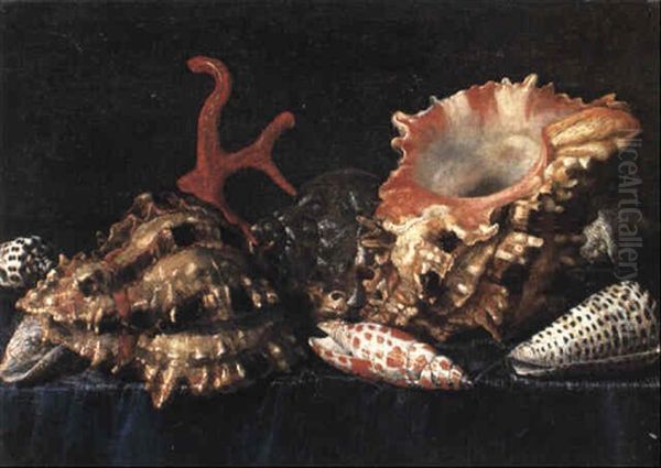 Exotic Shells And Coral On A Draped Table Oil Painting by Jacques Linard