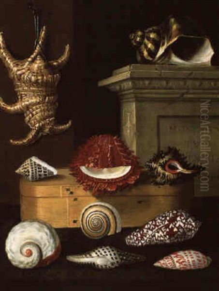 Nature Morte Aux Coquillages Et A La Boite De Copeaux Oil Painting by Jacques Linard