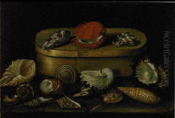 Nature Morte A La Boite De Copeaux Et Aux Coquillages by Jacques Linard