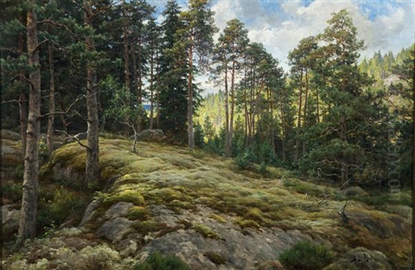 Pine-growing Rocky Slope Oil Painting by Berndt Adolf Lindholm