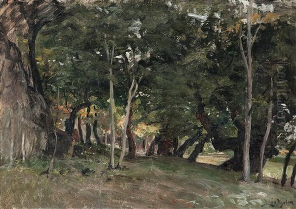 The Forest Oil Painting by Berndt Adolf Lindholm