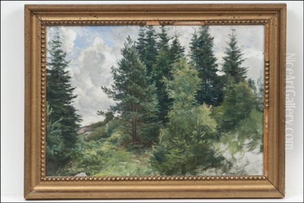 Metsanrinne - Skogssluttning Oil Painting by Berndt Adolf Lindholm