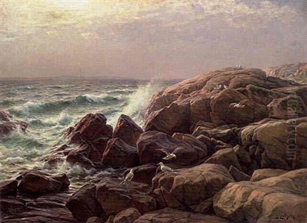 Masar Pa Strandklippor Oil Painting by Berndt Adolf Lindholm