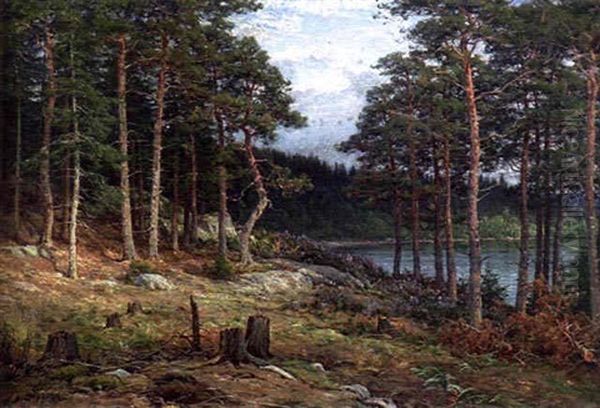 Strandskog Oil Painting by Berndt Adolf Lindholm