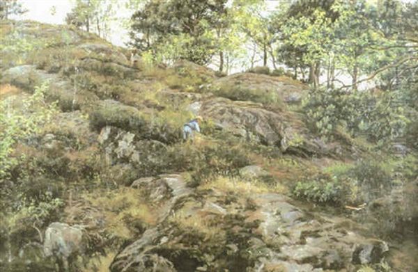 Barplockare Pa Skogskulle Oil Painting by Berndt Adolf Lindholm