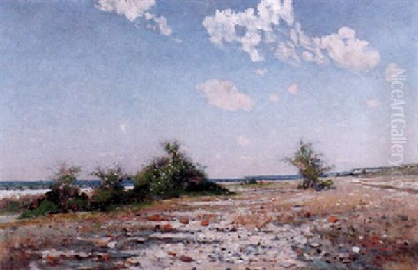 Strandlandskap, Visby Oil Painting by Axel Lindman