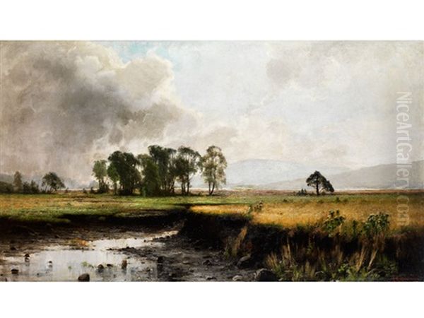 Weite Moorebene Mit Jungen Baumen Vor Hugel Am Horizont Oil Painting by Arvid Mauritz Lindstroem