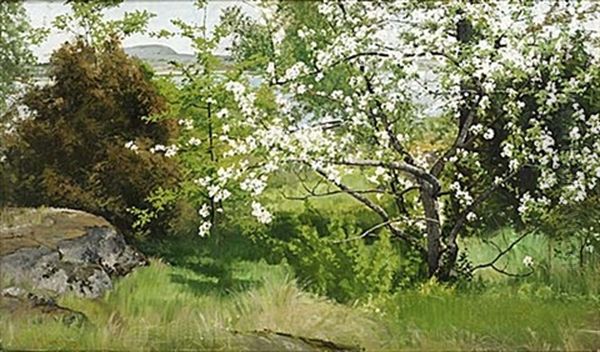 Blommande Frukttrad Oil Painting by Arvid Mauritz Lindstroem