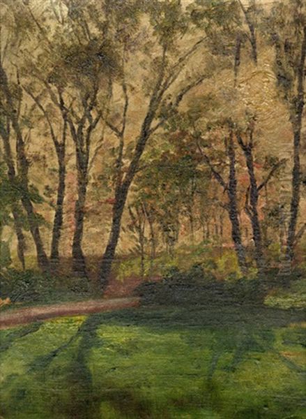 Parklandschaft. Studie by Carl August Liner