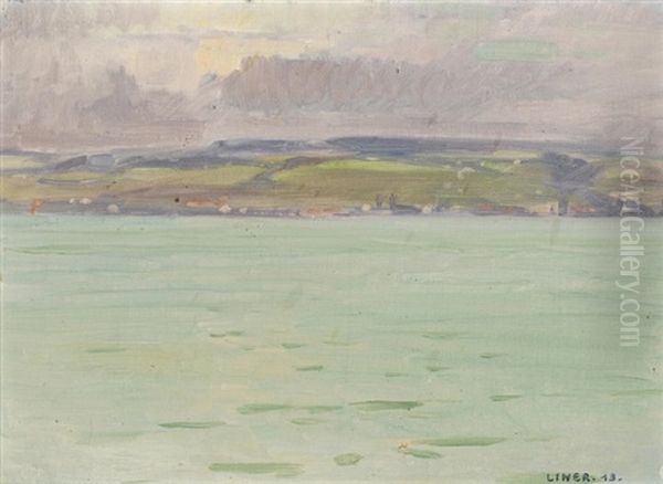 Blick Auf Den Zurichsee Oil Painting by Carl August Liner