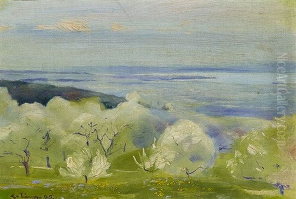 Fruhlingslandschaft. Bluhende Baume In Landschaft Bei St. Gallen Mit Blick Auf Den Bodensee Oil Painting by Carl August Liner