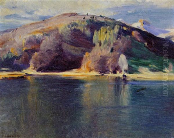 Werdenbergersee Oil Painting by Carl August Liner