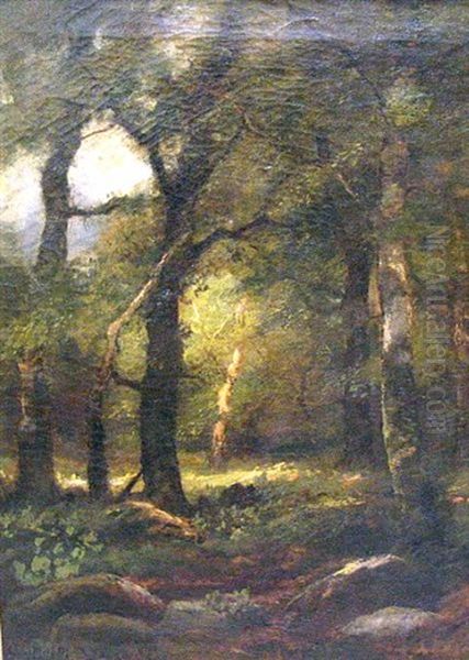 A Forest Interior Oil Painting by Charles Linford