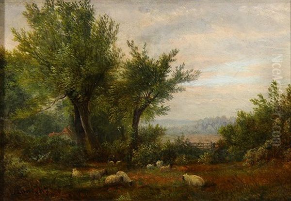 Sheep Grazing In The Pasture Oil Painting by John Linnell