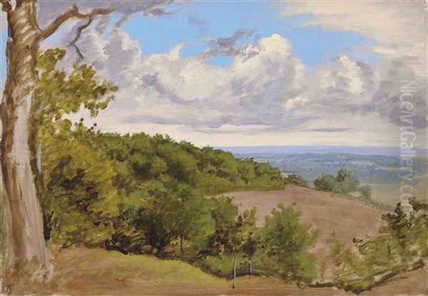 View Near Redhill, Surrey (+ Woodland Near Redhill, Surrey, Watercolor And Chalk; 2 Works) Oil Painting by William Linnell