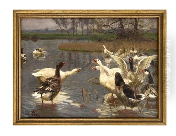 Ganse Am Wasser Oil Painting by Adolf Lins