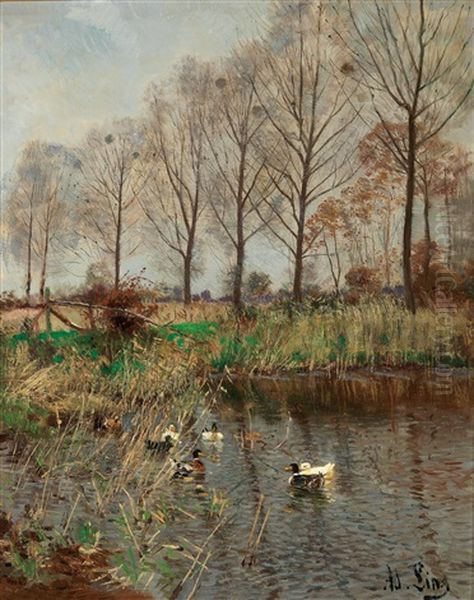 Enten Am Weiher Oil Painting by Adolf Lins