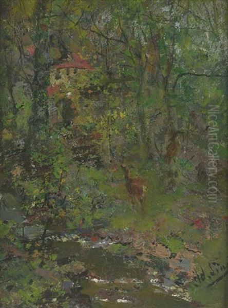 Reh An Einem Bachlauf Im Wald by Adolf Lins