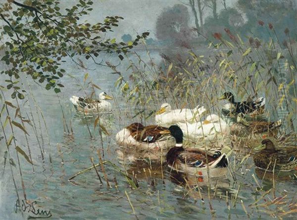 Ducks In The Reeds Oil Painting by Adolf Lins