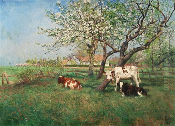 Kuhe Unter Bluhenden Obstbaumen Oil Painting by Adolf Lins