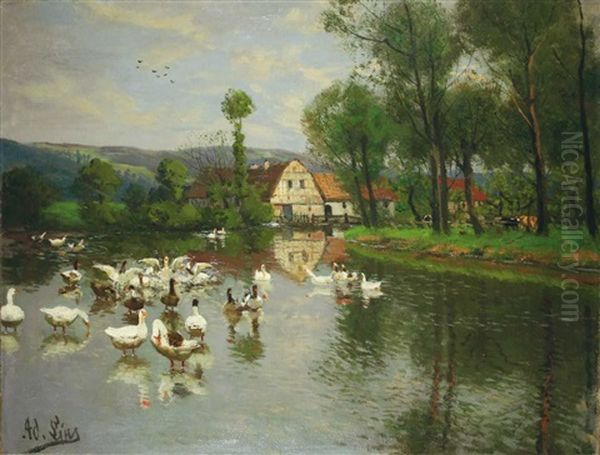 Ganse Auf Dem Weiher Oil Painting by Adolf Lins